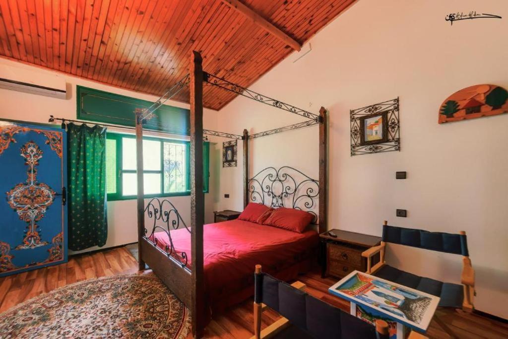 Dar Casa Plasa Grande צ'פצ'אוונה מראה חיצוני תמונה